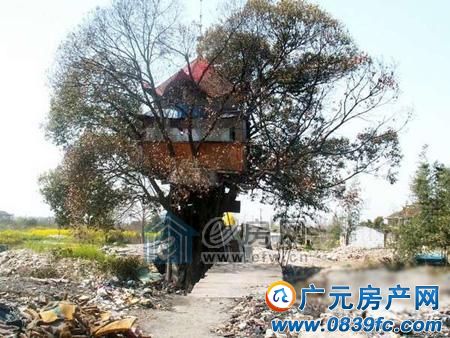 �Ϻ��ֶ����֡����ݡ�