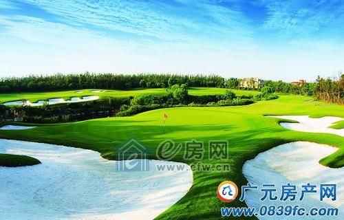 �߶�����